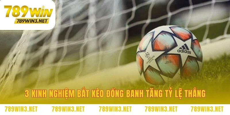 Phương pháp soi kèo vượt qua các cạm bẫy