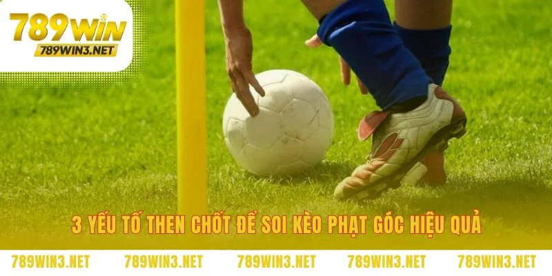 Biến dữ liệu khô khan thành dự đoán sắc bén