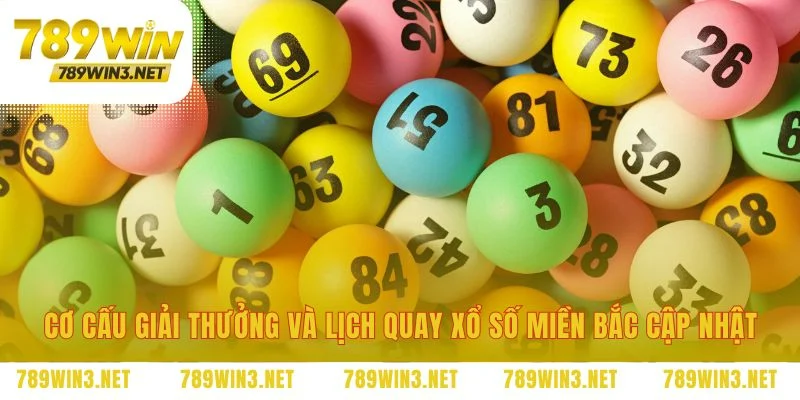 Nắm bắt quy tắc và nhịp điệu của cuộc chơi số