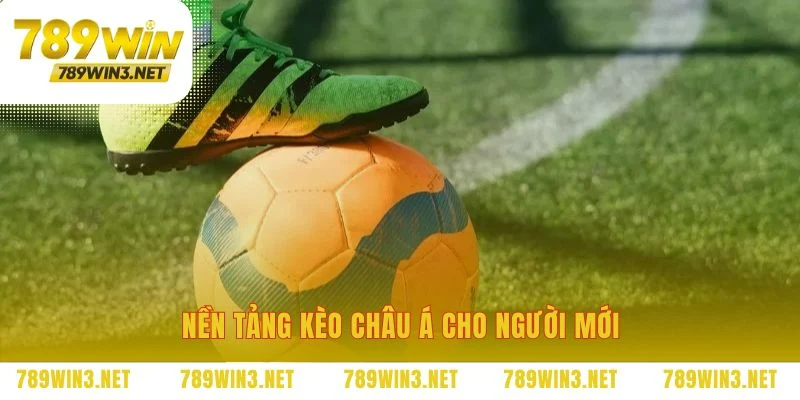 Những quy tắc cơ bản định hình nên mọi vé cược