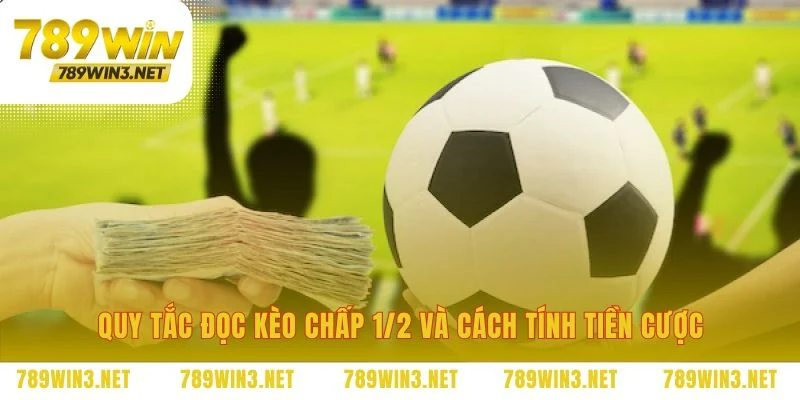 Diễn giải những con số quyết định trên bảng cược