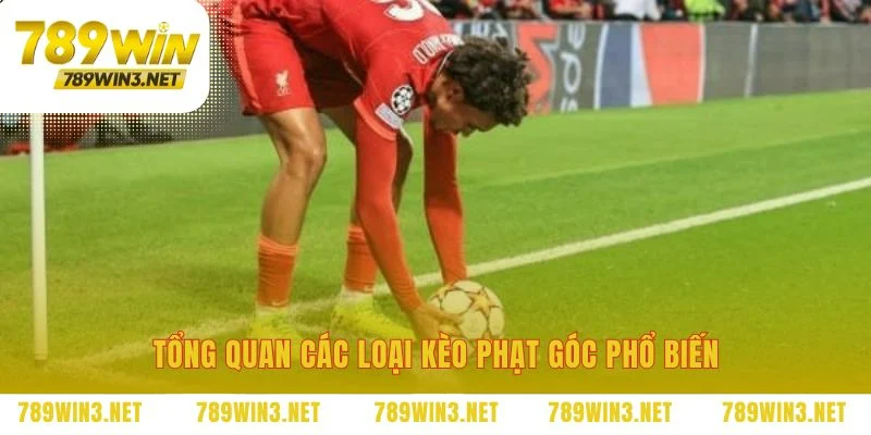 Giải mã các lựa chọn kèo phạt góc đa dạng