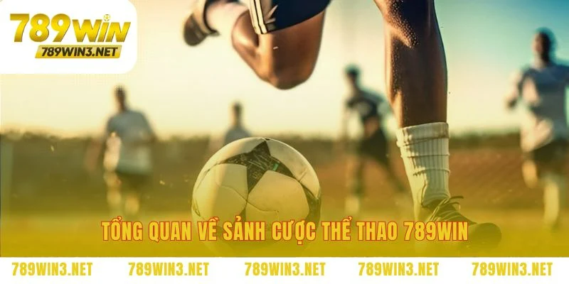 Nền móng vững chắc của một sảnh cược chuyên nghiệp